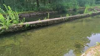 Wild Rose Fish Hatchery [upl. by Favien890]