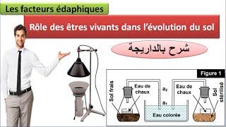 Rôle des êtres vivants dans lévolution du sol شرح بالداريجة [upl. by Chiles429]