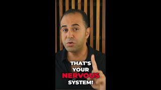 Why alpha males train their nervous system [upl. by Raeann]