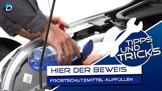 DIY  Selber Frostschutzmittel nachfüllen  Ford Danner [upl. by Betthezul]