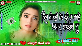 Dil Todahi Ke Rahe Ta Kahe Pyar Kael Tu Dj Remix Song  AlkaSinghNew Bhojpuri Sad Song DjAmitRaj [upl. by Lemej]