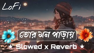 Tor Mon Paray  Lyrics  LoFi Song  Slowed x Reverb  Mahdi Sultan lofi music sad song remix [upl. by Nireves]