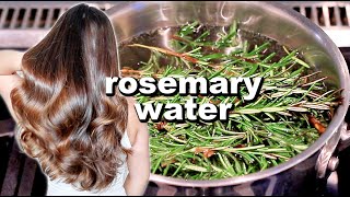 ROSEMARY WATER FOR HAIR GROWTH  DIY Rosemary Water Recipe amp How To Use It [upl. by Natalee888]