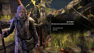 The Elder Scrolls Online From Zero too Hero HS5 Das Schloss des Wurms Teil 1 [upl. by Adeuga88]