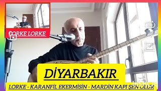 LORKE LORKE ZÜLKÜF DEĞİRMENCİ [upl. by Chari]