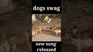 Dog song youtyubeshorts shorts funny [upl. by Mcripley]