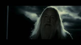 Dumbledore Last Will And Testament  Harry Potter And The Deathly Hallows Part 1 [upl. by Dinin218]