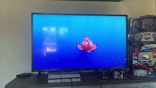 Finding Nemo 2003 jellyfish raceMarlin saves dory [upl. by Shiff375]