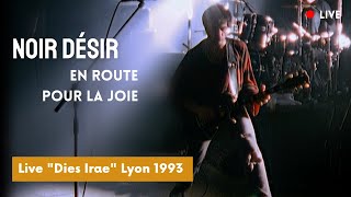 Noir Désir  En route pour la joie Live officiel « Dies Irae » Lyon 1993 [upl. by Peggie]