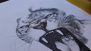 STIPPLING DRAWING Lion [upl. by Januarius]