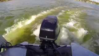 ELCO Electric Outboard Propulsion Florida [upl. by Nuoras]