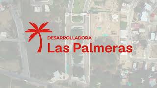 DESARROLLADORA LAS PALMERAS  Venta de dos terrenos  280324  Drone Piura Perú 4K [upl. by Dewhurst]