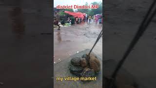 my village market seen Kktr13 [upl. by Cohe]