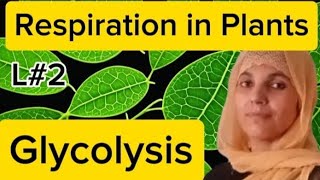 Plant PhysiologyL2Glycolysis Respiration in plantsNEETMDCATall Board Exam [upl. by Ennoirb]