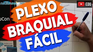 PLEXO BRAQUIAL DE FORMA FÁCIL  Macete [upl. by Bein]