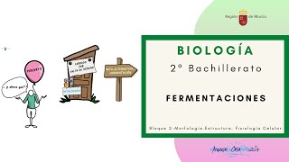 FERMENTACIONES [upl. by Wiles]