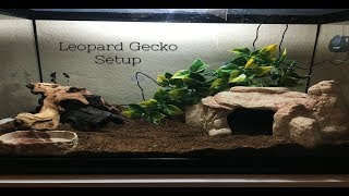 Leopard Gecko Tank Setup [upl. by Tarsus]