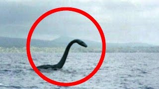 Mysterious Loch Ness Monster [upl. by Autrey508]