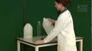 Making a 70 Ethanol solution [upl. by Airegin]