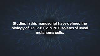 GZ17602 Kills PDX Isolates of Uveal Melanoma  Oncotarget [upl. by Moina]