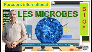 PARCOURS INTERNATIONAL BIOF les microbes [upl. by Jim]