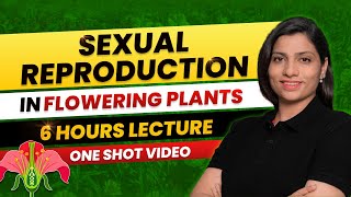 Sexual Reproduction in Flowering Plants Class 12 One Shot All Theory amp PYQs NEET 2024 Ritu Rattewal [upl. by Artenra567]