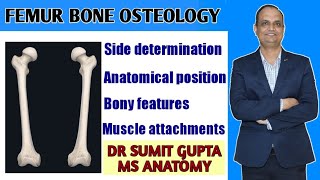 FEMUR BONE ANATOMY [upl. by Walsh403]