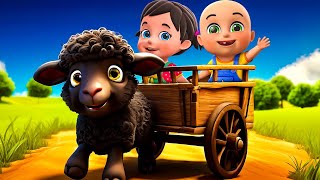 Baa Baa Black Sheep New Compilation  Rain Rain Go Away  Nursery Rhymes and Kids Songs  Baby Bobo [upl. by Adnawt208]