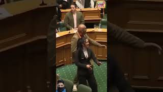 Maori MP Leads Haka Protest Jolts NewZealand Parliament shorts māori hakadance [upl. by Antoni1]