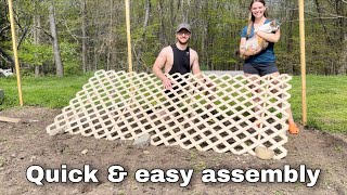 How to build a DIY cucumber trellis  growing cucumbers up to save space [upl. by Jon667]