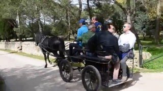 Tour delle Masserie in Carrozza a Crispiano Taranto Puglia [upl. by Baldridge]