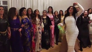 Newroz 2016 Danmark Kurdish dance halparke Govenda Kurdi [upl. by Astor]