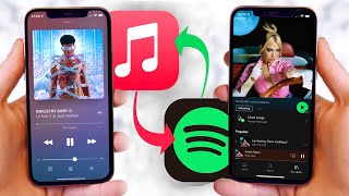 Apple Music amp Spotify  Transfer Playlists Easily [upl. by Marguerite]