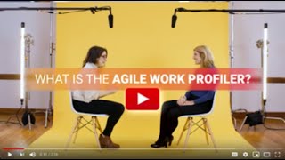 The DeBruce Foundation  Agile Work Profiler [upl. by Merriam]