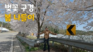 중고로 구매한 슈퍼커브 타고 벚꽃 구경하면서 봄 나들이 [upl. by Ssilb]