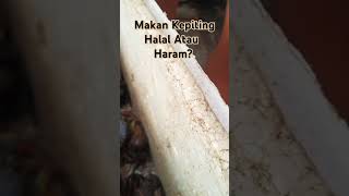 Makan Kepiting Halal Atau Haramkepiting halal harammakananlaut THBEKASI [upl. by Ahsemal]