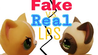 lps shorthair cats real vs fake [upl. by Alair]