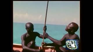 2018  Indian Ocean  North Sentinel Island  The Most Isolated Stone Age Tribe in the World  2311 [upl. by Upton509]