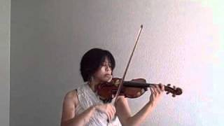 Suteki Da Ne violin  Final Fantasy X [upl. by Edge724]