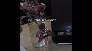 The Alchemist Atelier [upl. by Armilla]