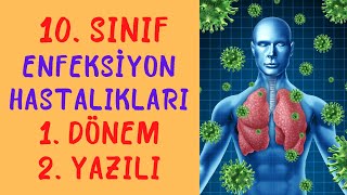 10 Sınıf Enfeksiyon Hastalıkları 1 Dönem 2 Yazılı Açık Uçlu Soruları [upl. by Shifrah290]