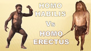 Homo Habilis vs Homo Erectus An Evolutionary Journey Through Anatomy and Physiology [upl. by Pennington]