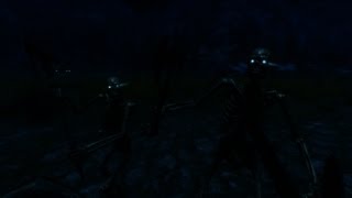 Skeletons of Daggerfall  Skyrim Audio Mod [upl. by Aruon]