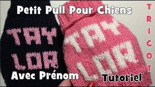 Tutoriel Tricot Pull avec Prénom pour Chiens DIY [upl. by Toth]