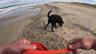 Am Strand von Vejlby Klit mit Familie Spazieren Teil 2 [upl. by Fen]