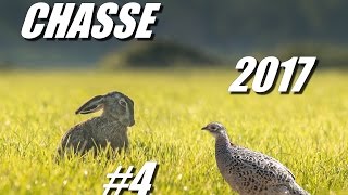 CHASSE AUX PETITS GIBIERS 20162017 4 LIÈVRE ET FAISANS AU CALIBRE 410 MAGNUM [upl. by Ateiram]