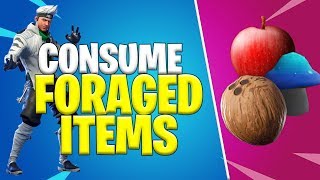 Consume Foraged Items Challenge Location   Fastest Way   Fortnite Chapter 2 [upl. by Edylc657]