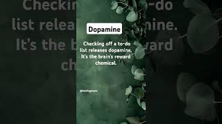 dopamine dopaminergic neurotransmitters psych [upl. by Aiza]