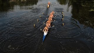 Rowing Its Good For Your Brain [upl. by Jennie]