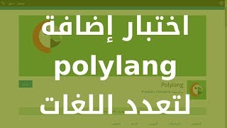 اختبار إضافة POLYLANG لموقع ووردبريس متعدد اللغات [upl. by Eiluj23]